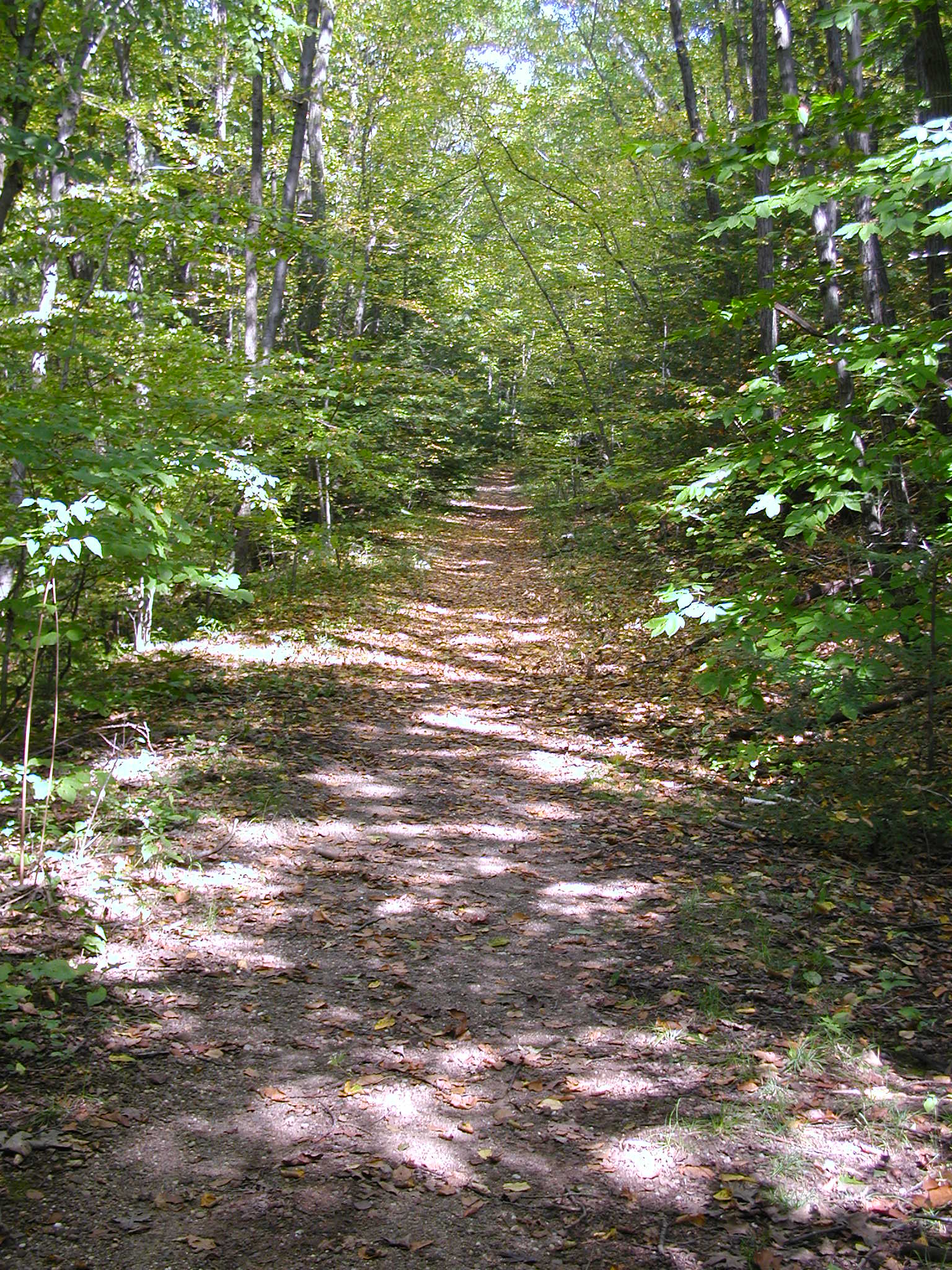 HCC Trail